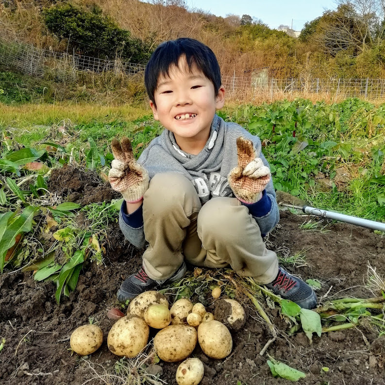 2021/2/12 じゃがいもの植え付け_f0201157_15043433.jpg