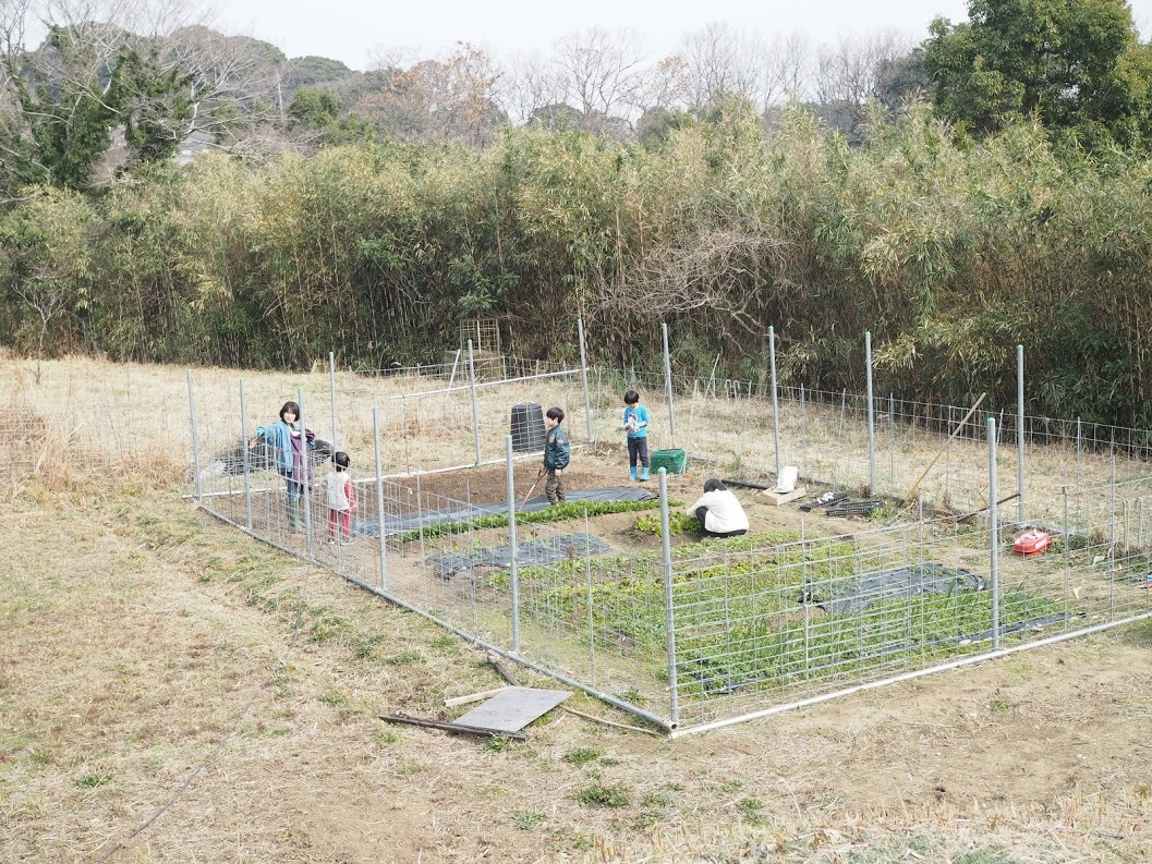 2021/2/12 じゃがいもの植え付け_f0201157_15043585.jpg