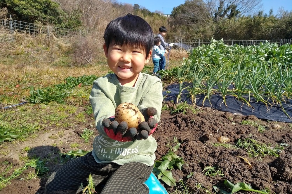 2021/2/12 じゃがいもの植え付け_f0201157_15072775.jpg