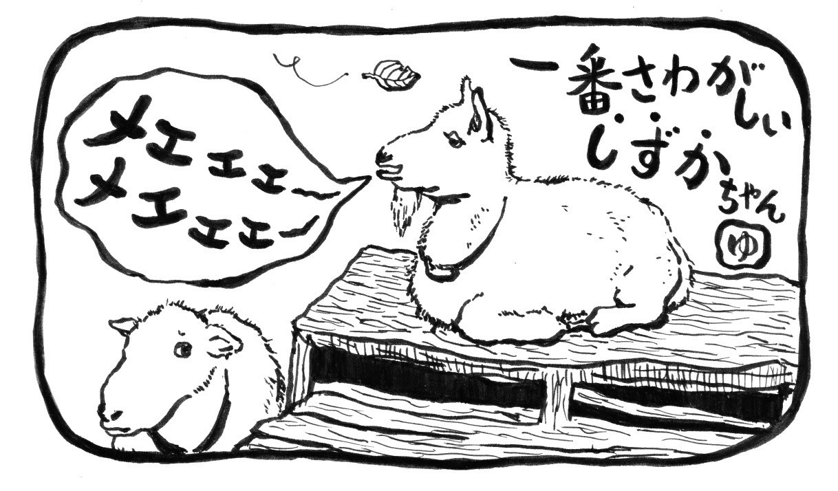 気になる生物⑫《騒がしいしずかちゃん》_c0137062_23031709.jpg