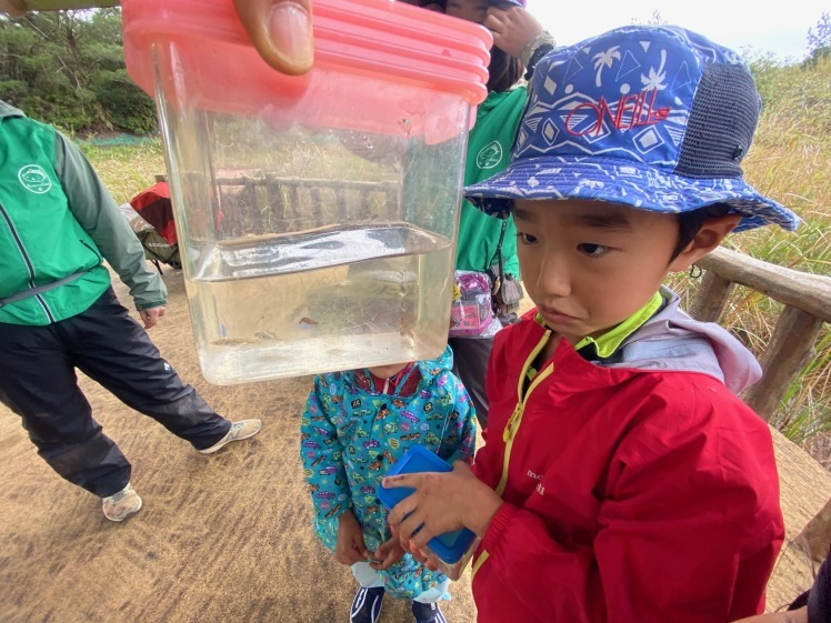 青空ようちえん〔週末〕メダカ池あそび(2/11)雨の日だって青空メンバーは外遊び!って、今日はやばい!池遊びのはずが3kmも歩いた?!_d0363878_18180569.jpg