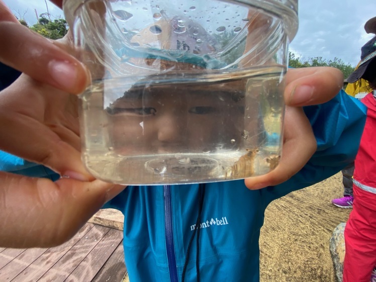 青空ようちえん〔週末〕メダカ池あそび(2/11)雨の日だって青空メンバーは外遊び!って、今日はやばい!池遊びのはずが3kmも歩いた?!_d0363878_18180570.jpg