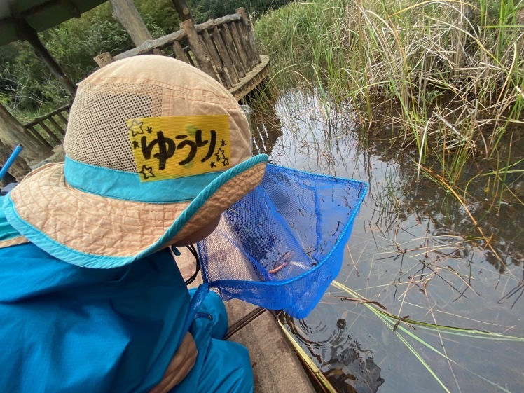 青空ようちえん〔週末〕メダカ池あそび(2/11)雨の日だって青空メンバーは外遊び!って、今日はやばい!池遊びのはずが3kmも歩いた?!_d0363878_18211090.jpg
