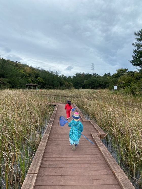 青空ようちえん〔週末〕メダカ池あそび(2/11)雨の日だって青空メンバーは外遊び!って、今日はやばい!池遊びのはずが3kmも歩いた?!_d0363878_18211204.jpg