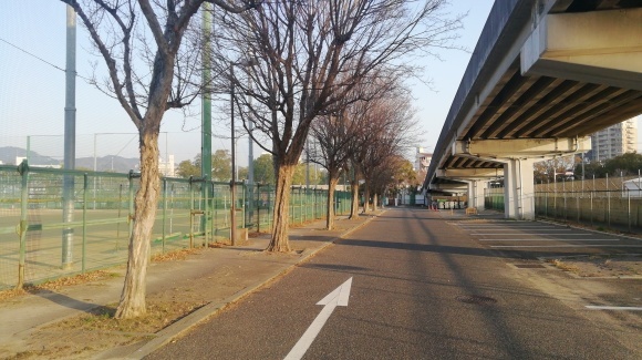 車中泊84日目 神戸市三日目 空の旅人