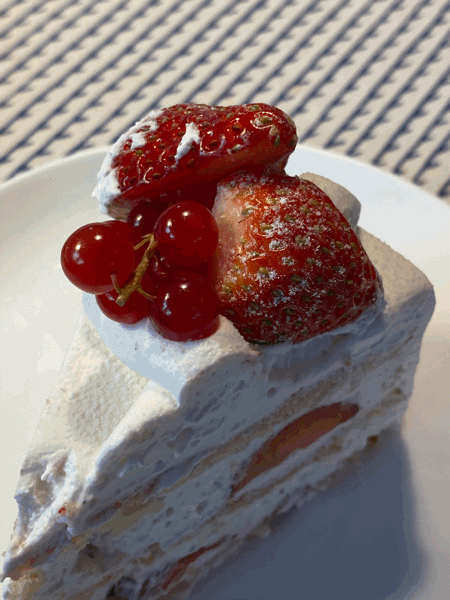 今日はスタッフの多田の誕生日 Irei Blog 今日はスタッフの多田の誕生日 Irei Blog