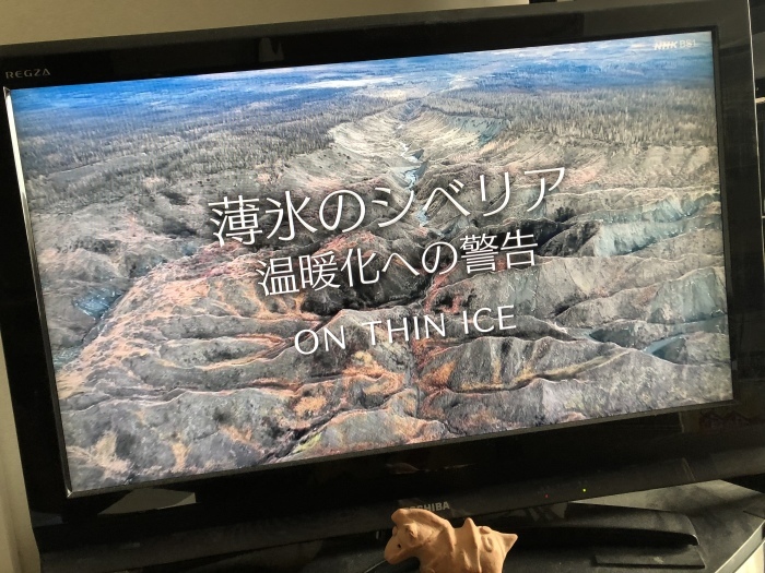 せめて無関心でいないように 丘の上から通信