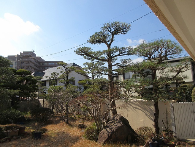 透かし剪定 光匠園の庭造り日記