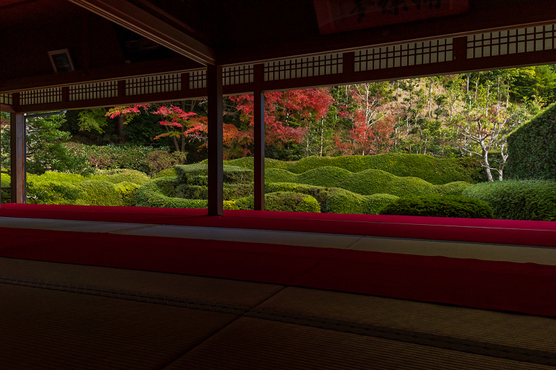 2020紅葉きらめく滋賀　彩りの大池寺_f0155048_21065573.jpg