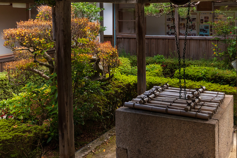 2020紅葉きらめく滋賀　彩りの大池寺_f0155048_21100381.jpg