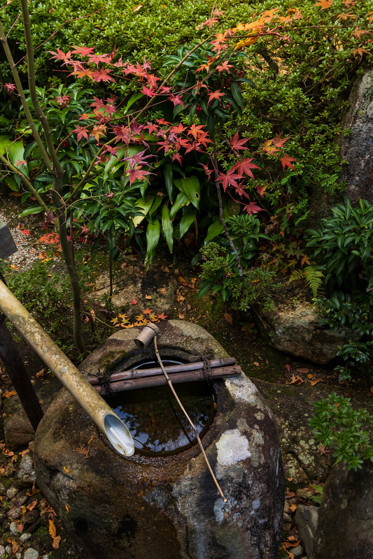 2020紅葉きらめく滋賀　彩りの大池寺_f0155048_21103088.jpg