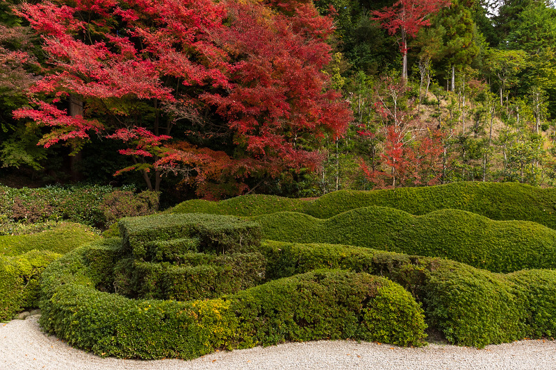 2020紅葉きらめく滋賀　彩りの大池寺_f0155048_21114257.jpg