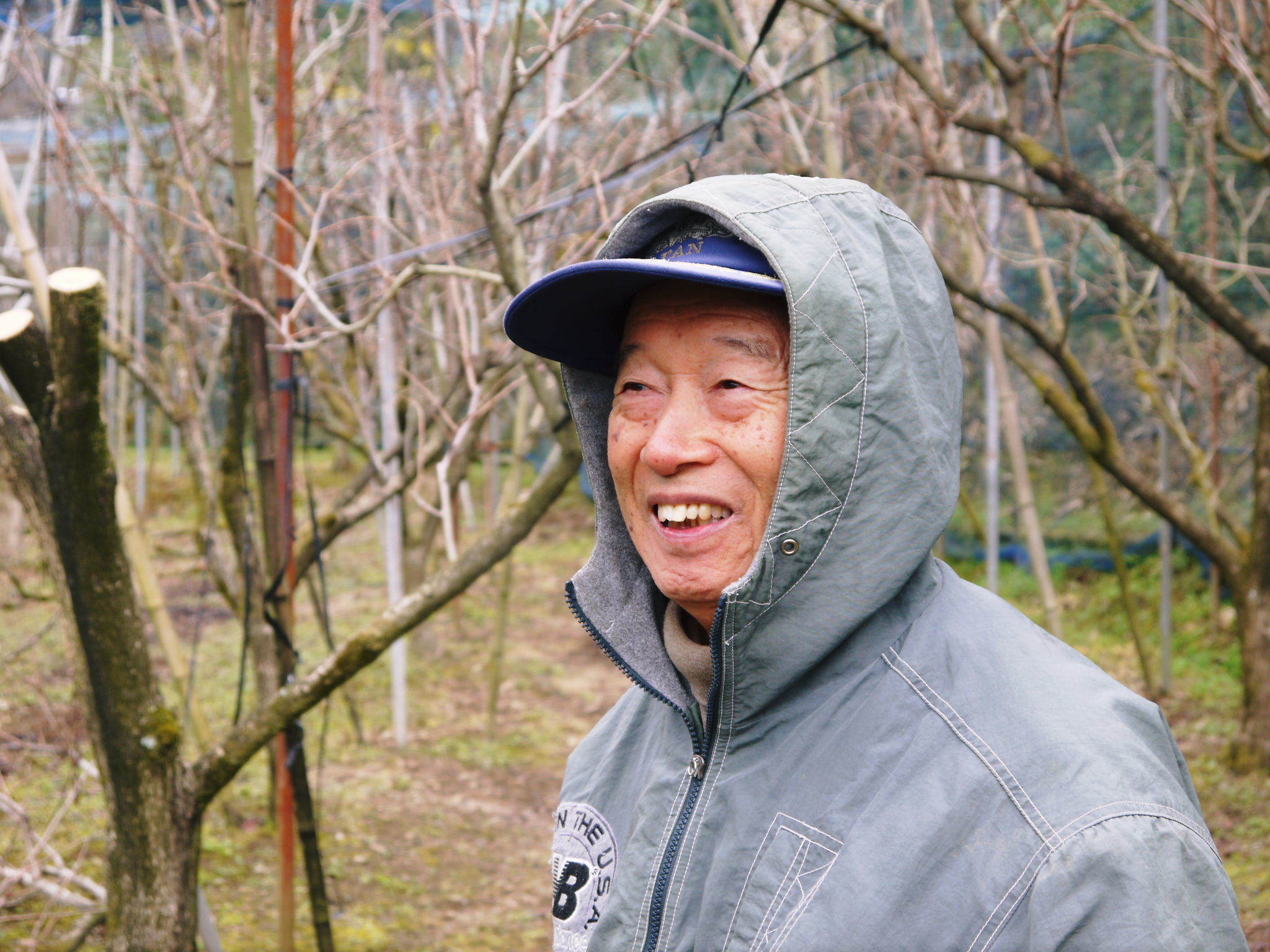 太秋柿　匠の惜しまぬ手間ひま！剪定した枝、落ち葉を徹底除去し、幹の皮をはいで病気や害虫から守ります_a0254656_17521243.jpg