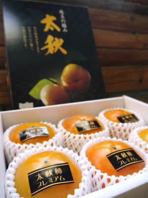 太秋柿 匠の惜しまぬ手間ひま!剪定した枝、落ち葉を徹底除去し、幹の皮をはいで病気や害虫から守ります_a0254656_18101205.jpg