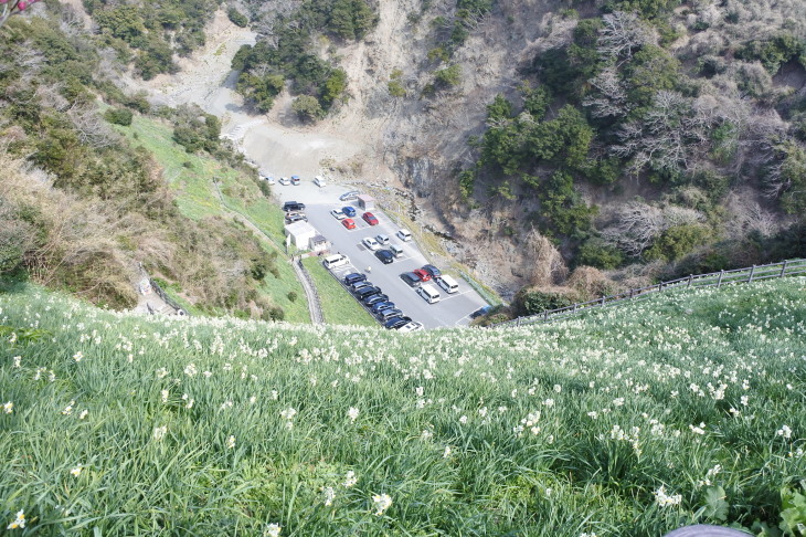 102 灘黒岩水仙郷とおすすめ はぶ荘 ランチ チッキィのおいしい淡路島 102 灘黒岩水仙郷とおすすめ はぶ荘 ランチ チッキィのおいしい淡路島