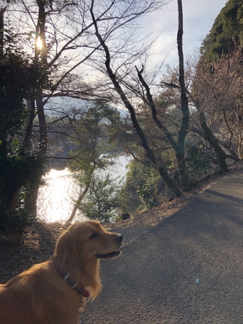 またまた。_a0394574_18084255.jpeg