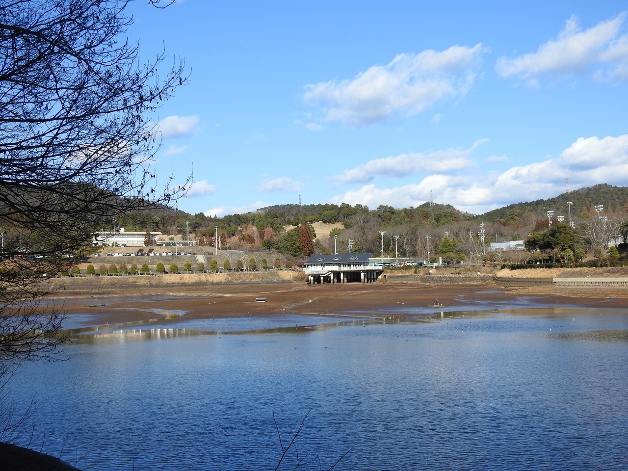 『翡翠(カワセミ)と瘤白鳥(コブハクチョウ)と四十雀(シジュウカラ)と風景』_d0054276_20100675.jpg