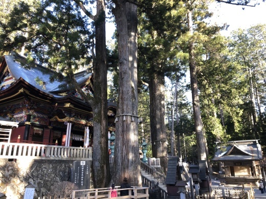 三峰神社　社寺建築_a0129492_14533391.jpeg