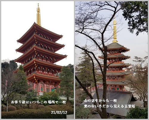 今度生まれたら(本)、高幡不動散策、糠床作り_c0051105_00471643.jpg