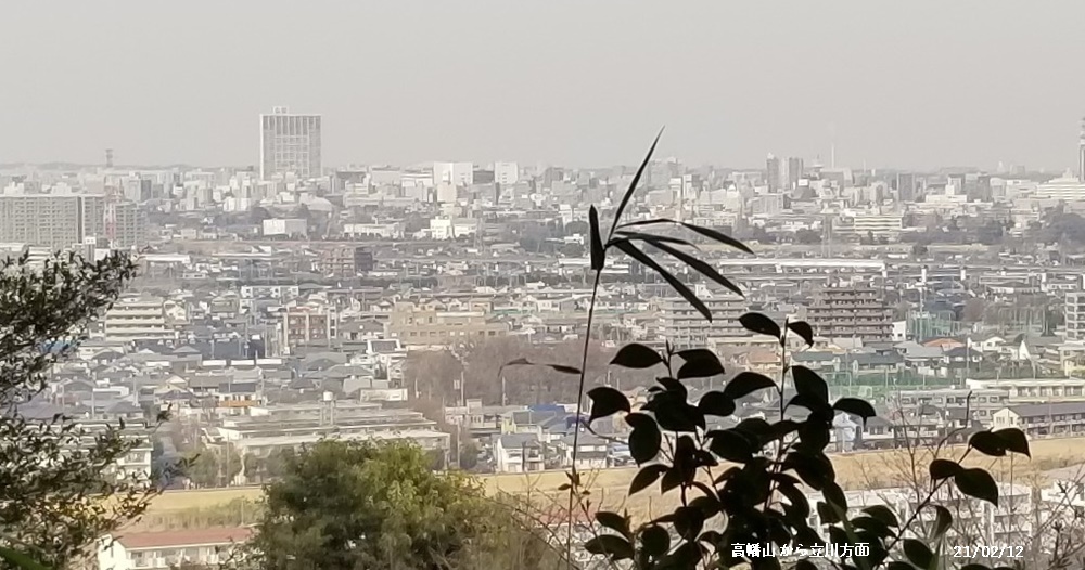 今度生まれたら(本)、高幡不動散策、糠床作り_c0051105_00511340.jpg