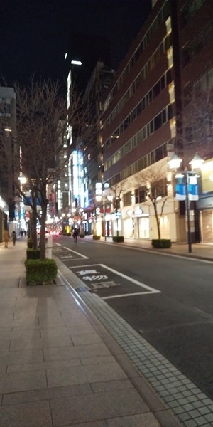 ハイアット・セントリック銀座 東京（2）- レストラン＆グルメ編_b0399943_10341173.jpg