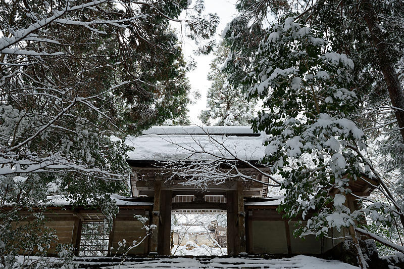 雪景色@京北町 常照皇寺・其の一_f0032011_17490371.jpg