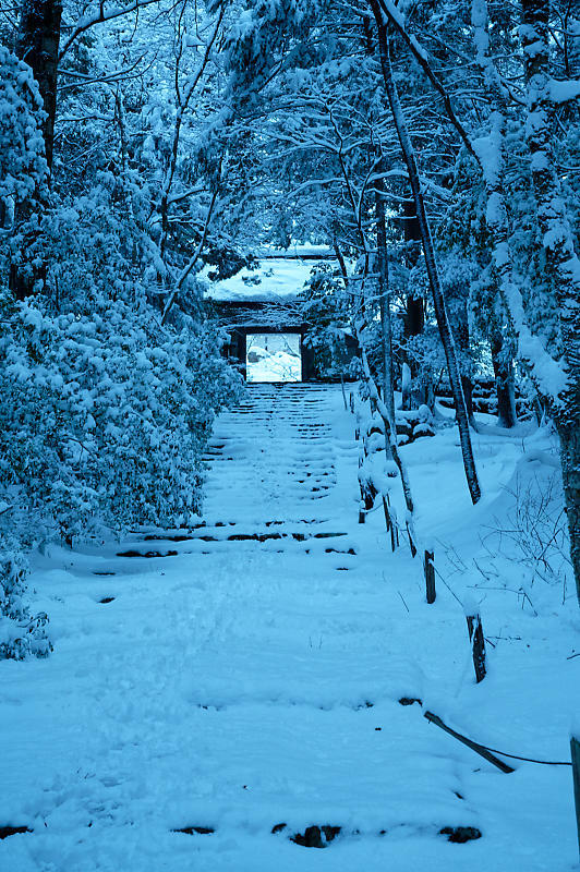 雪景色@京北町 常照皇寺・其の一_f0032011_17490382.jpg