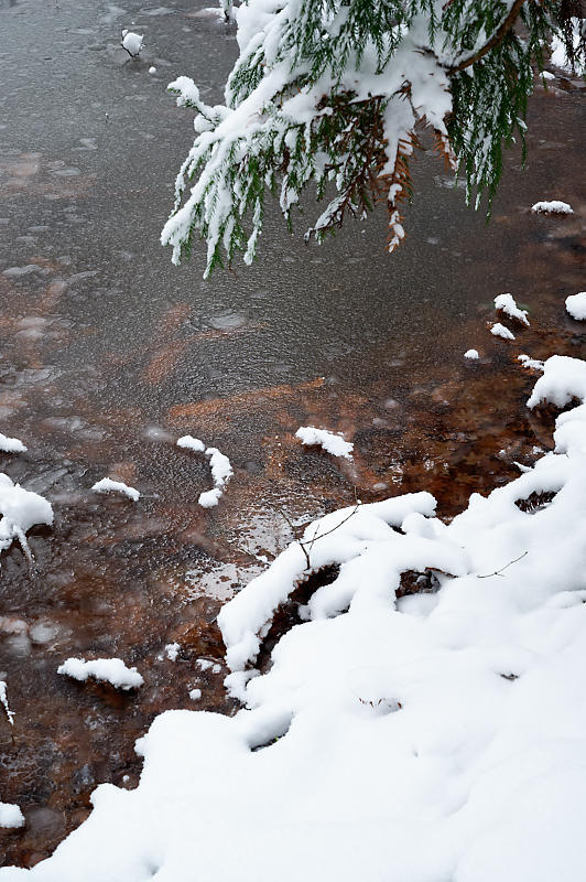 雪景色@京北町 常照皇寺・其の一_f0032011_17490473.jpg