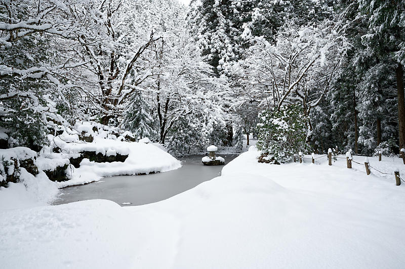 雪景色@京北町 常照皇寺・其の一_f0032011_17502494.jpg