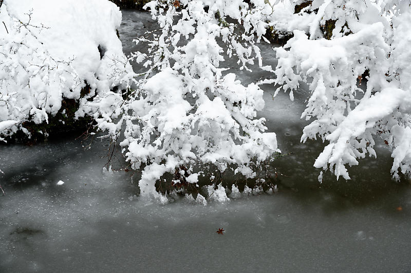 雪景色@京北町 常照皇寺・其の一_f0032011_17502506.jpg