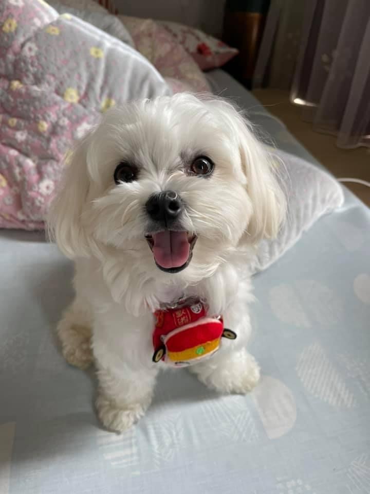 新年快樂_f0057324_21203980.jpeg
