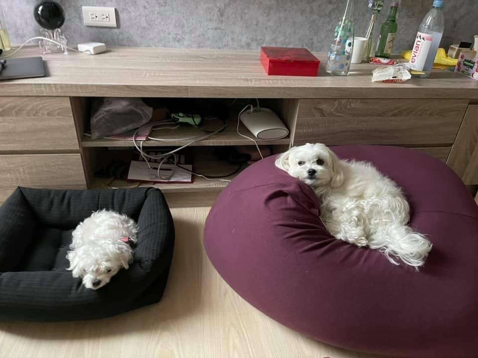 新年快樂_f0057324_21204612.jpeg