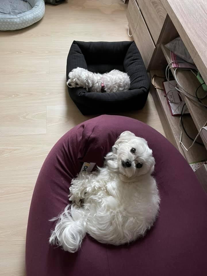 新年快樂_f0057324_21205351.jpeg