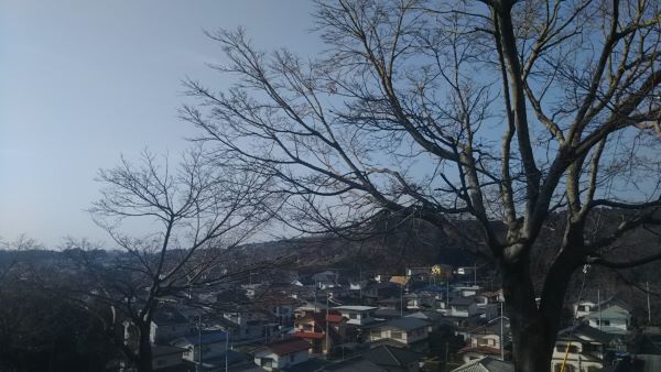 地震 大丈夫ですか?_c0155326_11423531.jpg