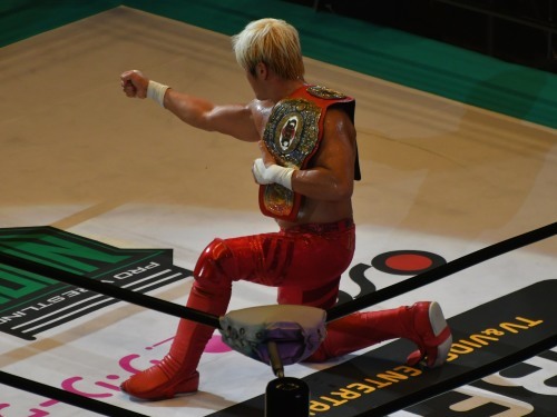 ノア日本武道館こぼれ_b0000829_10054865.jpg
