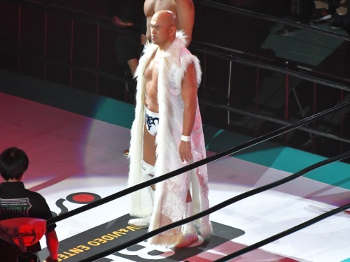 ノア日本武道館こぼれ_b0000829_10211222.jpg