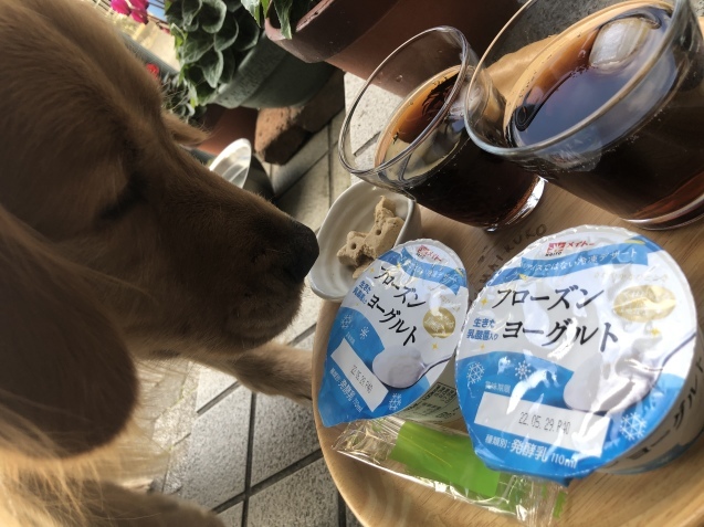 かけがえのない日々。_a0394574_22045027.jpeg