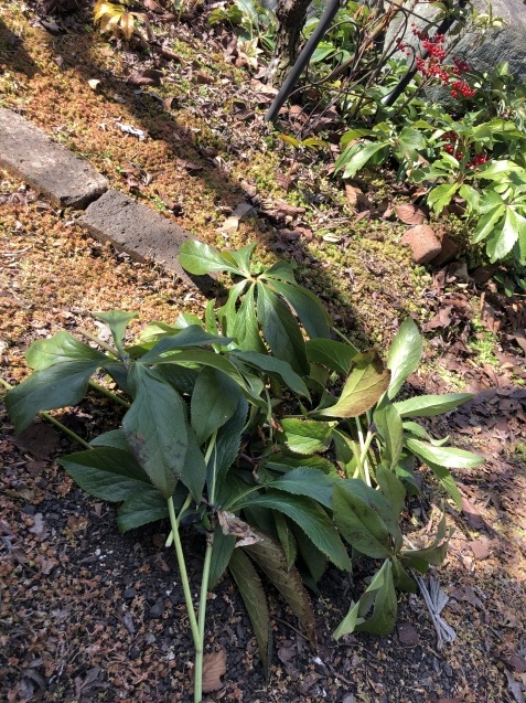 かけがえのない日々。_a0394574_22085930.jpeg