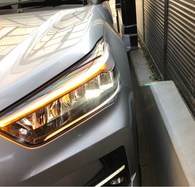 車庫入れ　駐車スペース_a0129492_18300314.jpeg