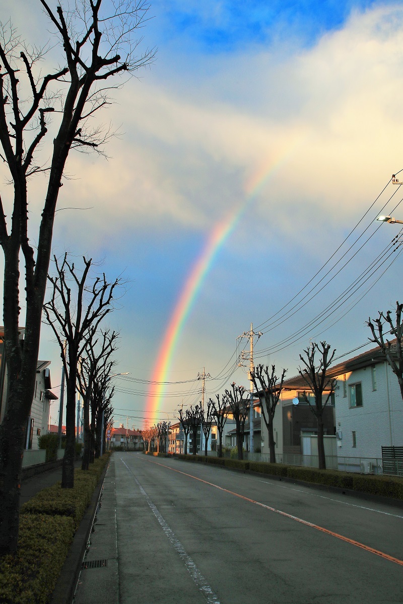 虹・・・(4490)_e0349324_21384904.jpg