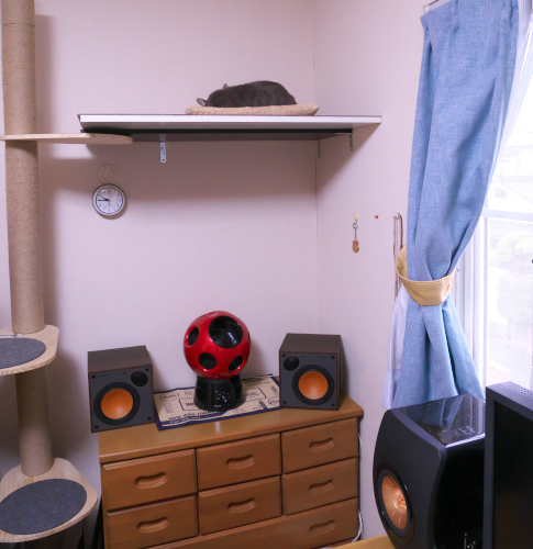 Monitor Audio MONITOR 50 : 火呂 Photograph