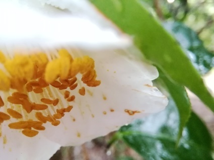 素敵な雨の日…_b0368362_14590833.jpg
