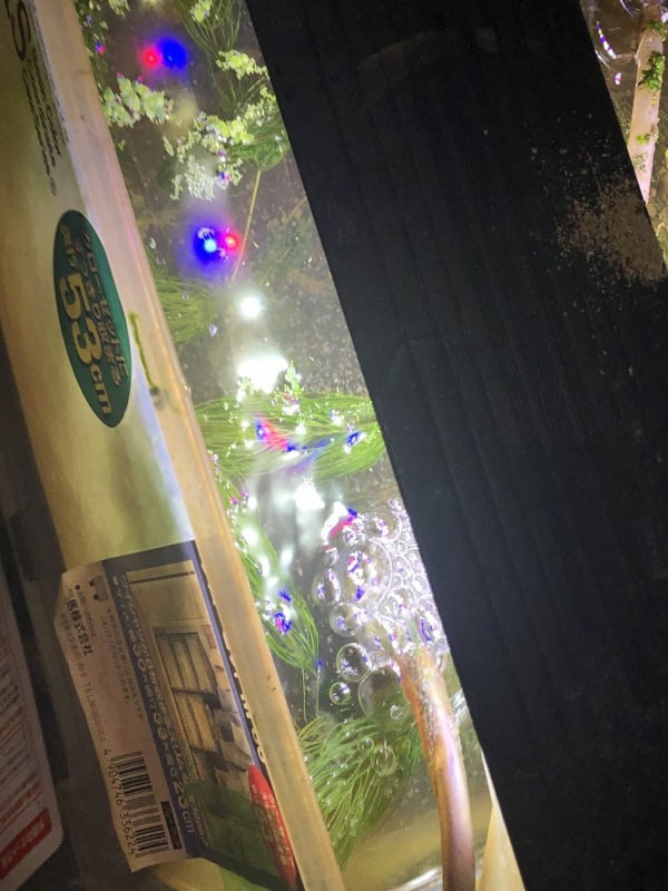 水槽 ミジンコ天国水槽21版 Ookami Ffxi試練鯖