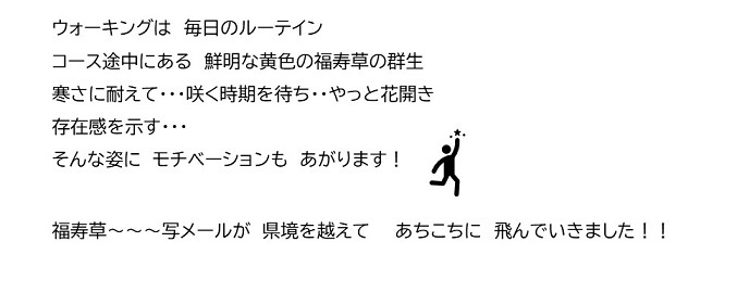 Vol 2 この指とまれ 暮らし編 春を探して 田舎のバーバ2