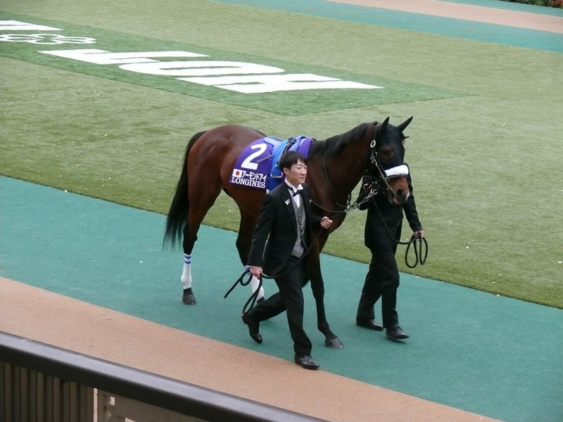 2020年ジャパンカップ観戦記 : 競馬で楽しい時間を過ごそう