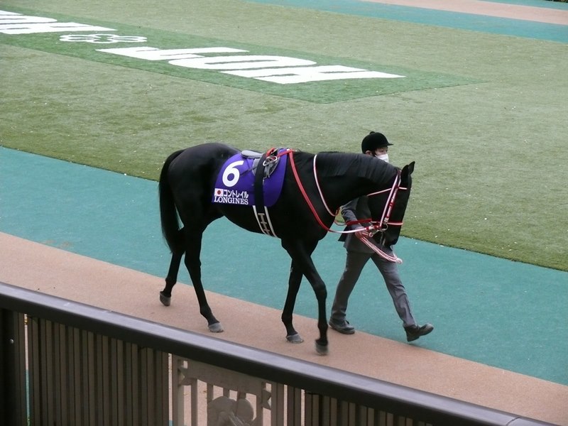 2020年ジャパンカップ観戦記 : 競馬で楽しい時間を過ごそう