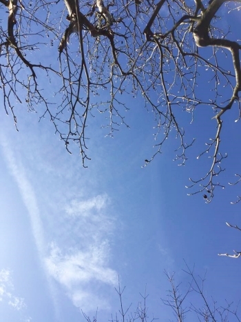 ある晴れた日に_b0151911_21415022.jpg