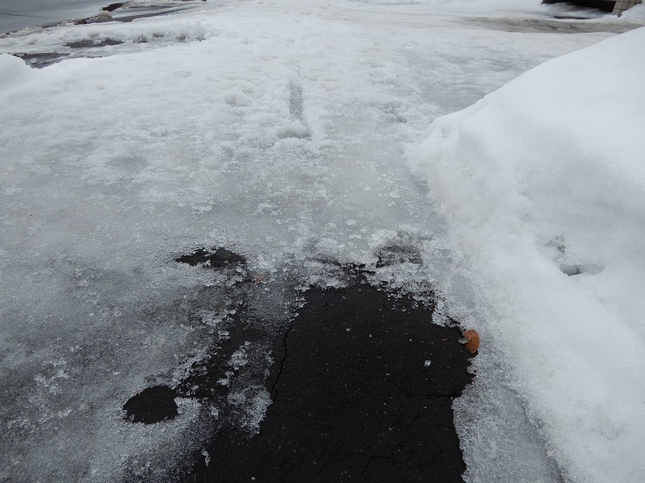 札幌は暴風雪にならないまま警報解除へ_c0025115_21433477.jpg