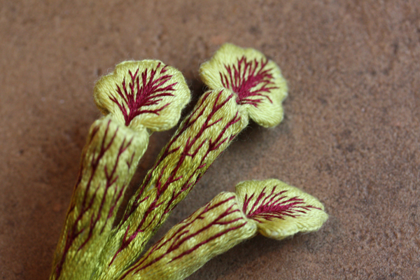 食虫植物 サラセニアの立体刺繍 フェルタート R オフフープ R 立体刺繍作家pienisieniのブログ