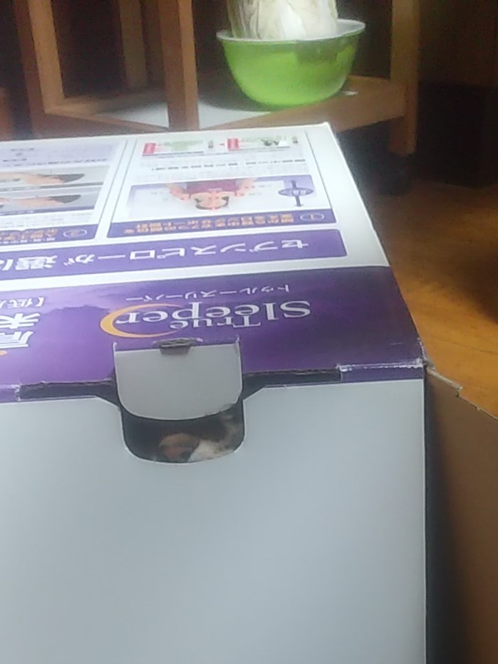 くつろぎの場所_b0059860_14381924.jpg